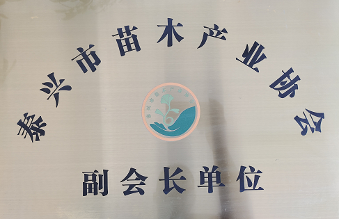 泰元公司被評為泰興市苗木產業(yè)協(xié)會副會長單位